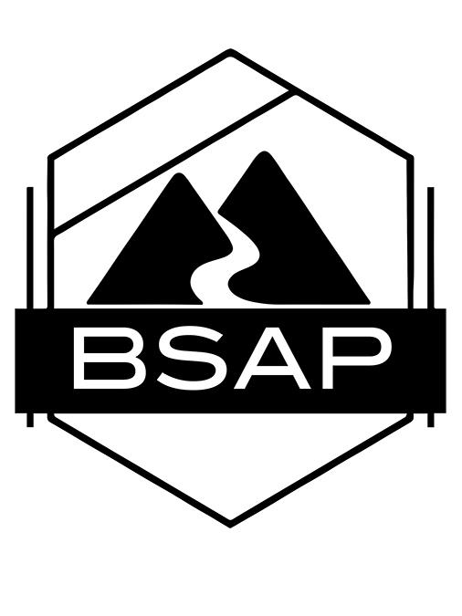 bsap 